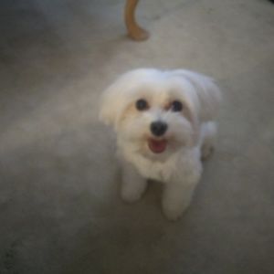 Meet your Posher, Christine